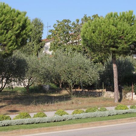 Apartments And Rooms With Parking Space Rovinj - 7170 외부 사진