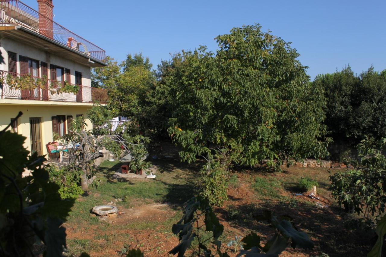 Apartments And Rooms With Parking Space Rovinj - 7170 외부 사진